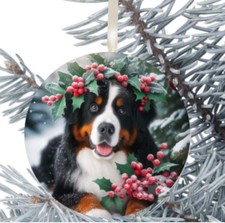 Bernese Mountain Dog Hanging