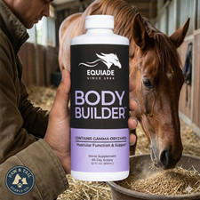 Equiade Body Builder Oil