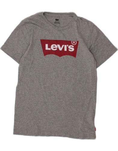Levi mens graphic shirt - graphic, t-shirt