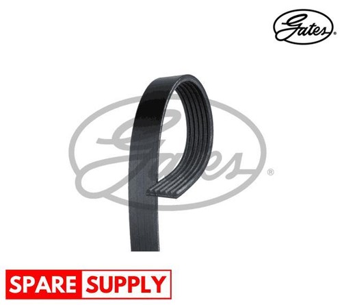 Ribbed belts for - belts,