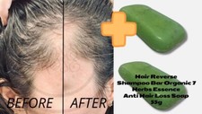Hair Reverse Holistic Shampoo