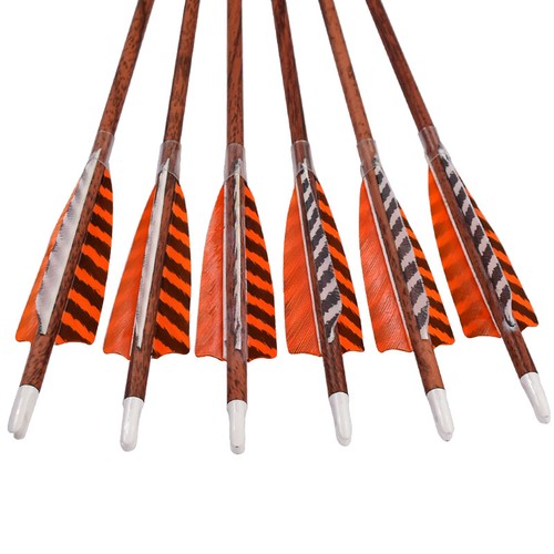 12x sp400 carbon - 12x, arrows