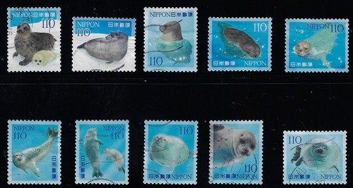 Japan 2025 marine life - marine,