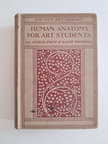 Human anatomy for art students - anatomy,