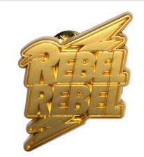 DAVID BOWIE Metal Pin Badge