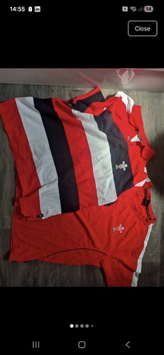 Wales rugby team - wales,