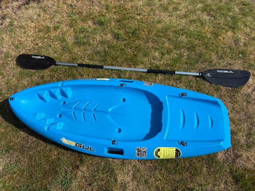 Gul flying fish - fish, sit-on