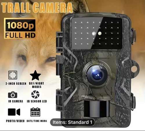 Trail camera wildlife - camera, night