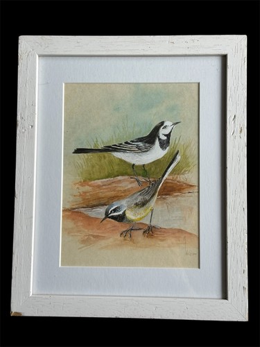 Original wilson bird - original, l.
