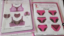 Pin Up Girls Bra And Knickers