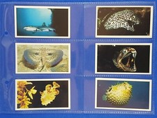 Doncella Cigarette Cards THE