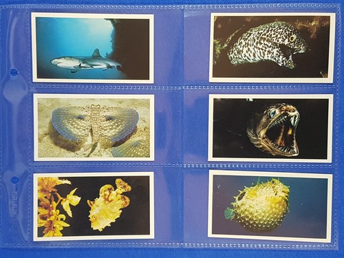Doncella cigarette cards - doncella, the