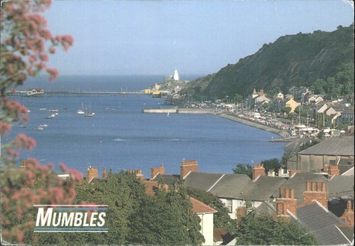 Vintage mumbles wales postcard - mumbles,