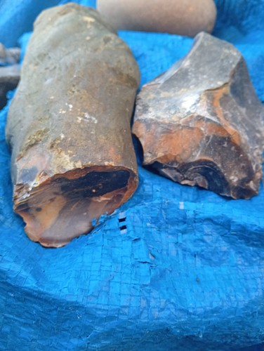 2kg ultra rare - of, bullhead