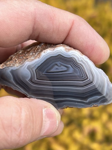 Polished agate specimen - , from
