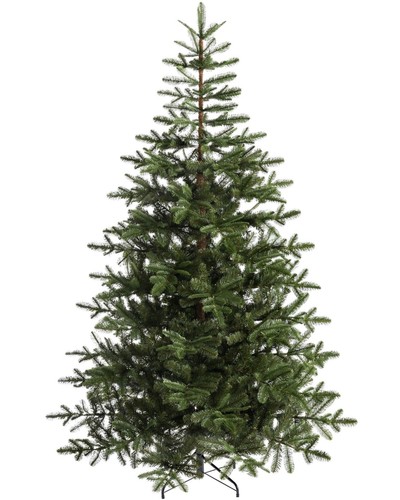 Nordmann fir christmas tree 6 - christmas,