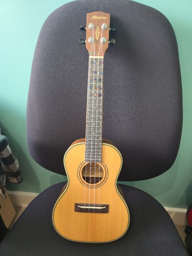 Alvarez artist au70wc - artist, concert