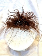 Vintage Feather Fascinator