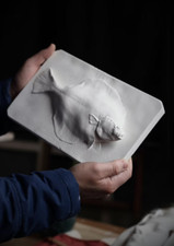 Plaice Fish Plaster Cast