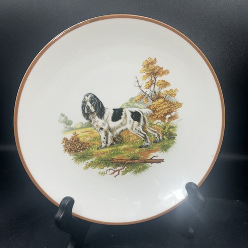 Staffordshire crown cocker - crown,