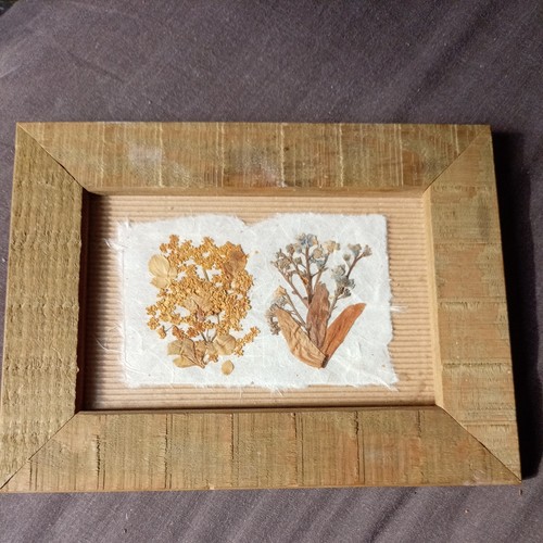 Joanna sheen pressed - joanna,