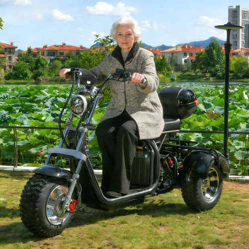 Max load capacity for - , electric