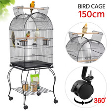African Grey Cage Large Open
