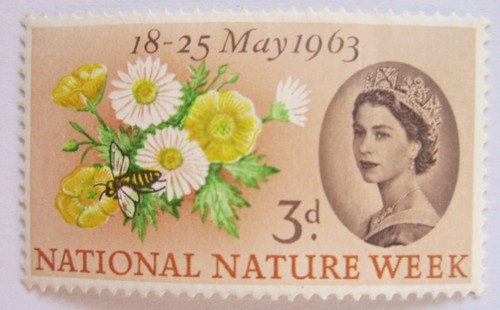 Sg637 queen elizabeth - queen, 3d