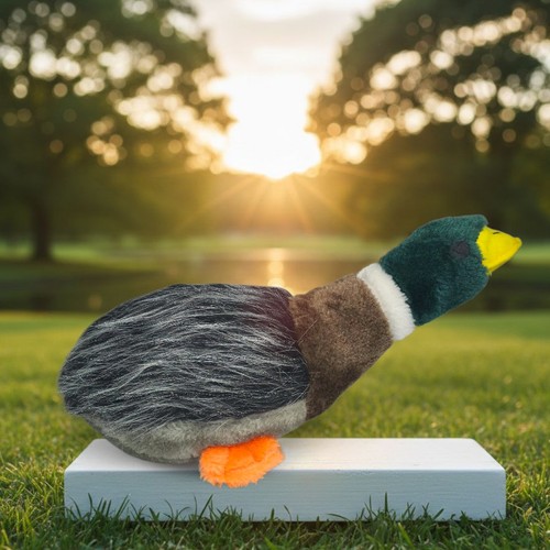 Petface honking mallard - petface,