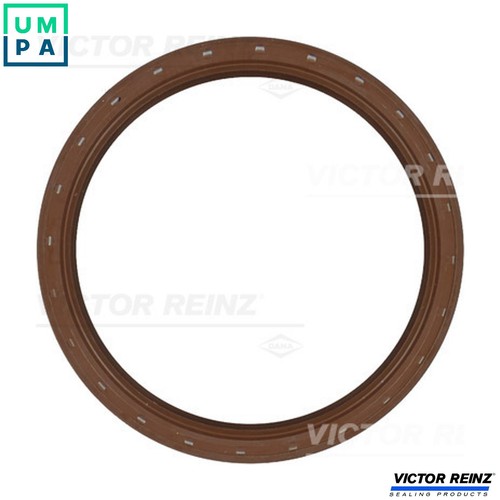 Shaft seal crankshaft - seal,