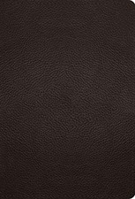 ESV Large Print Compact Bible