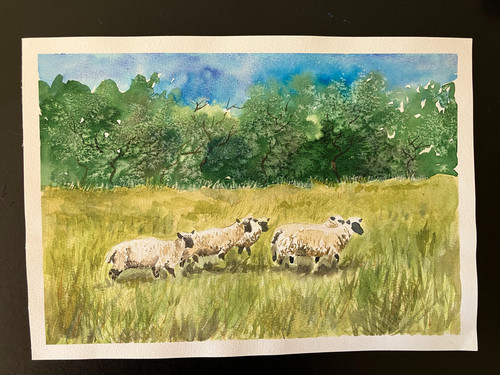 Hand painted watercolour - painted,