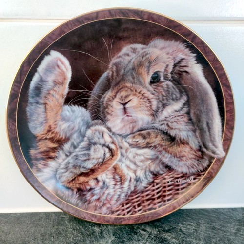 Rare bunny tales collector - rare,