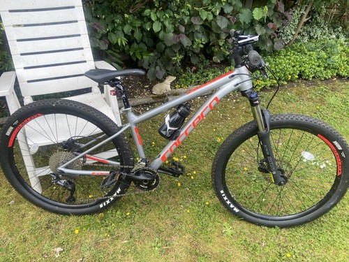 Carrera men mountain bike - men's,