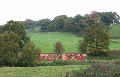 Photo grazing land - , denford