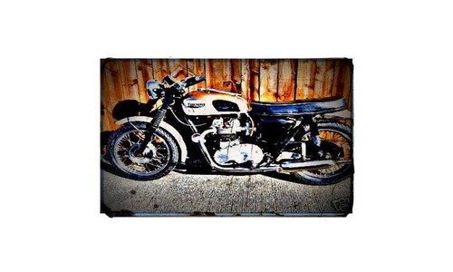 1959 triumph t21 - 1959, bike