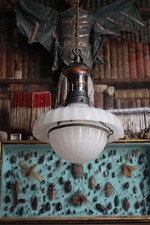 Rare Edwardian Doriclite