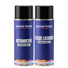 Central Paints Alloy Wheel