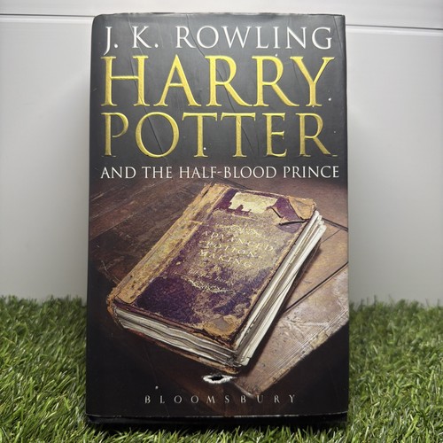 Harry potter and the - potter,