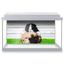 Fish tank background 90x45cm - fish,