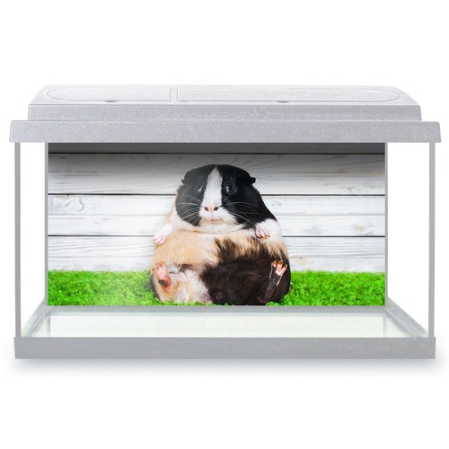 Fish tank background 90x45cm - tank,