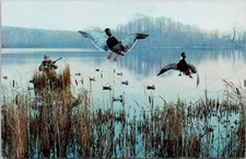 Greetings from Hinton Alberta