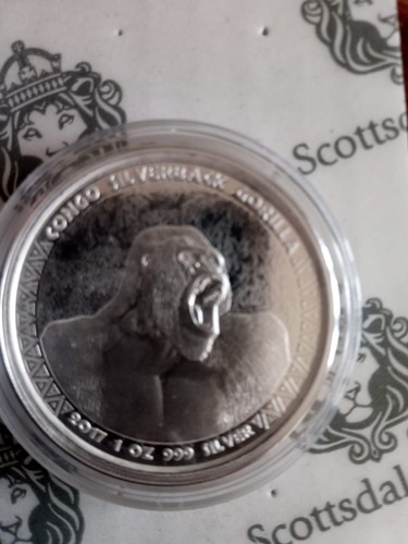 Scottsdale congo silverback
