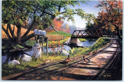 Postcard 1986 nary - nary, a