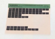 Yamaha Race