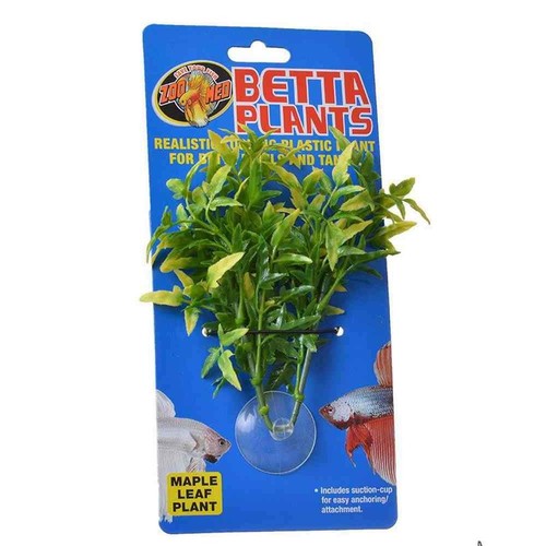 Zoo med maple betta plant - zoo,