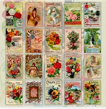 SET 20 BEAUTIFUL VINTAGE STYLE