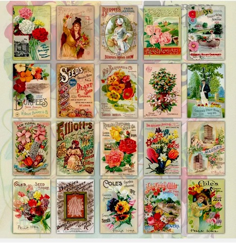 Set beautiful vintage style - beautiful,