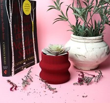 Small Plant pot For Cactus &