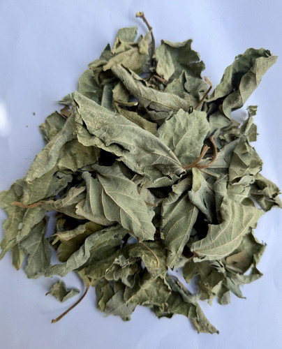 Sandpaper leaves dried - sandpaper, leaves,